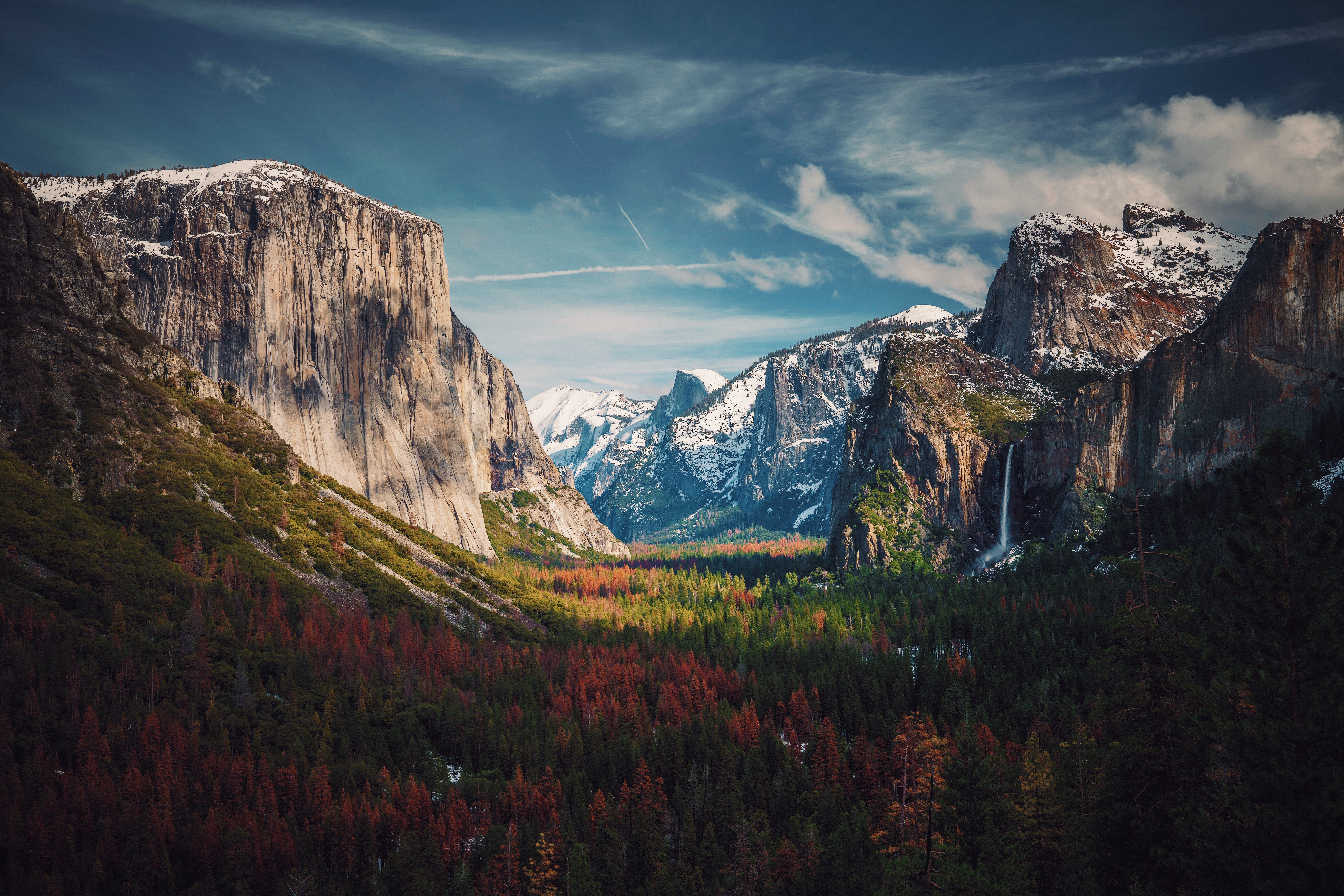 Valley of Giants