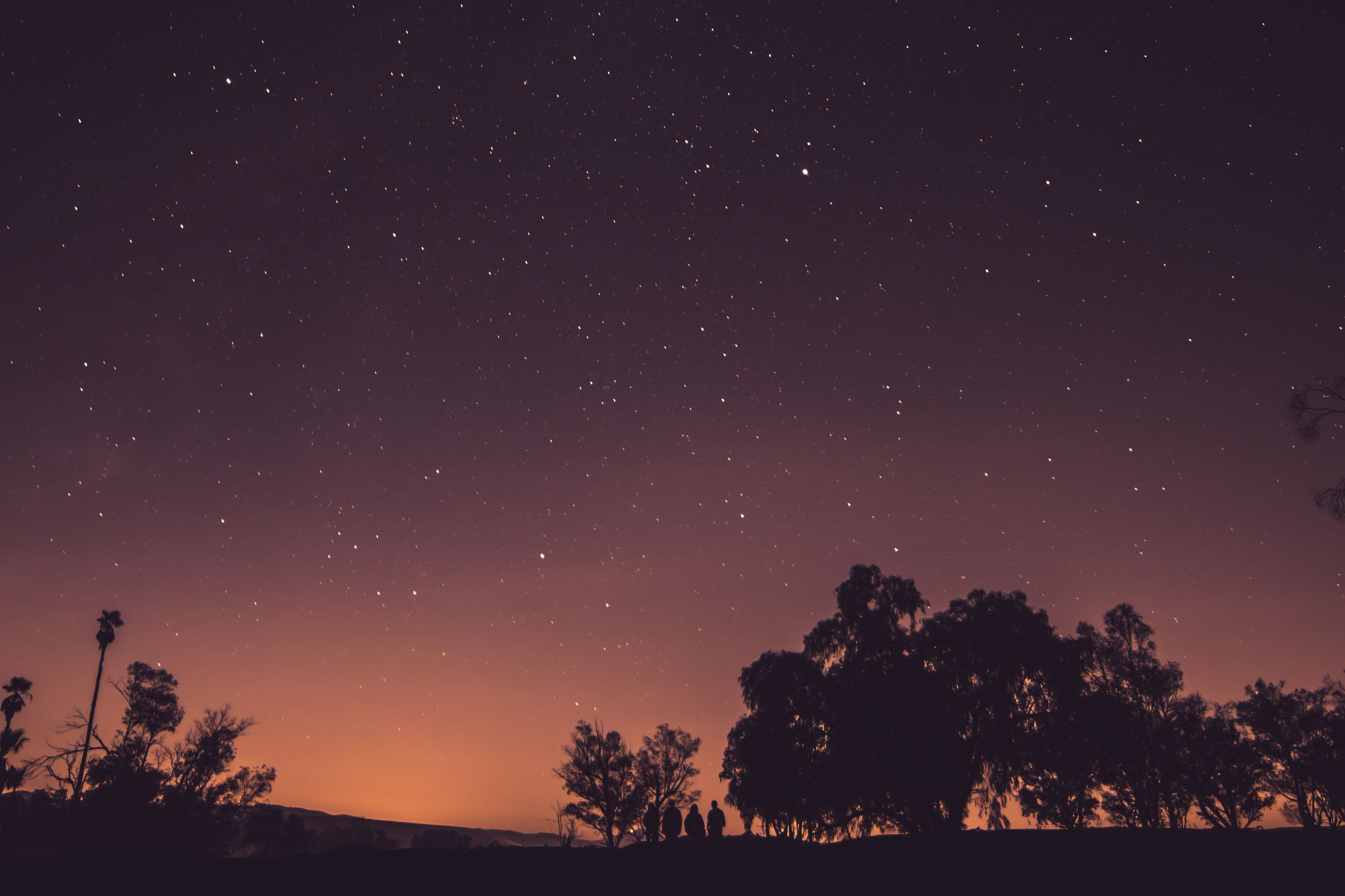 Stargazers at Dusk